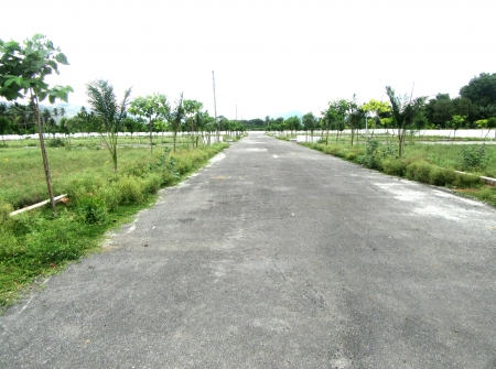 3) Li Id 232 - 40 Feet Tar Roads.JPG